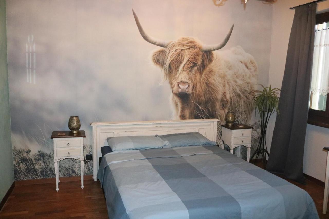 B&B Acquagrossa San Martino Buon Albergo Exteriér fotografie