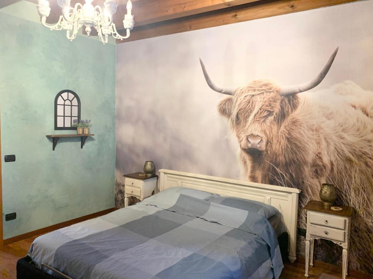 B&B Acquagrossa San Martino Buon Albergo Exteriér fotografie