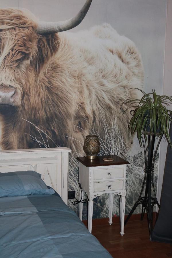 B&B Acquagrossa San Martino Buon Albergo Exteriér fotografie