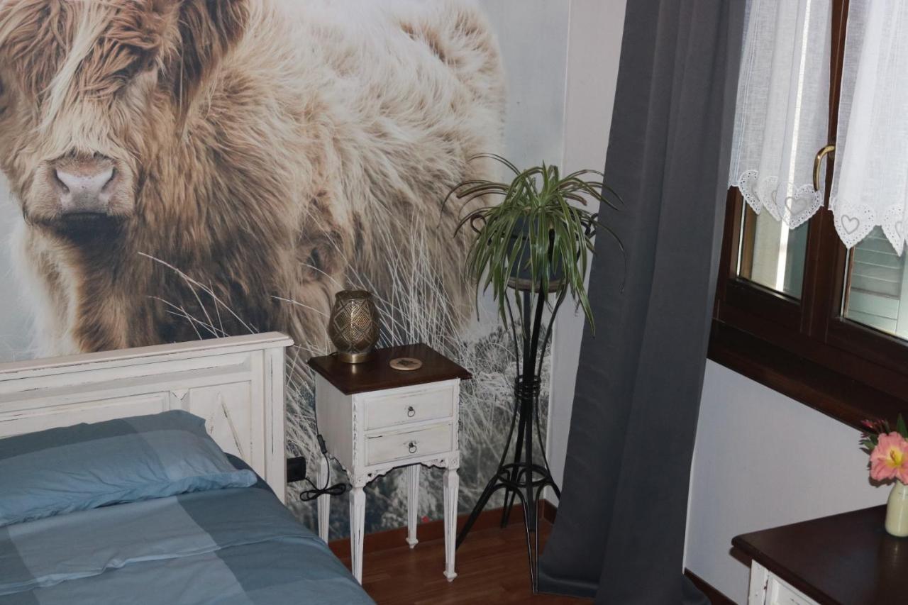 B&B Acquagrossa San Martino Buon Albergo Exteriér fotografie